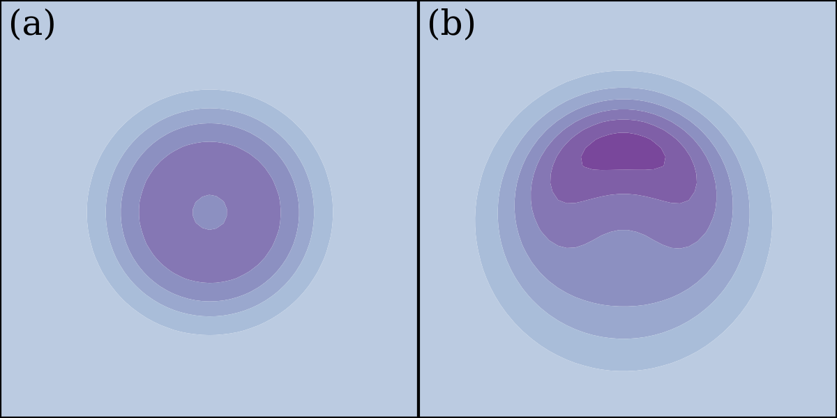 Topological charge density